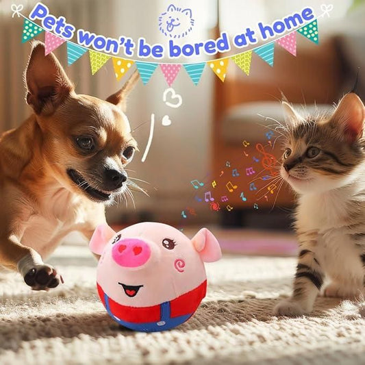 Dancing Piggy Ball Toy | Rolling Toy for Pets